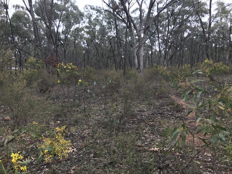 Lot 9 Bill Mollison Drive, Axedale VIC 3551