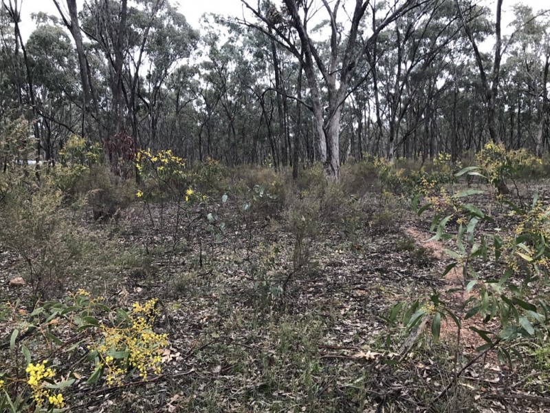 Lot 9 Bill Mollison Drive, Axedale VIC 3551