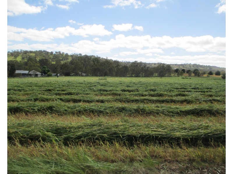 540 Calder Alternate Highway, Lockwood South VIC 3551