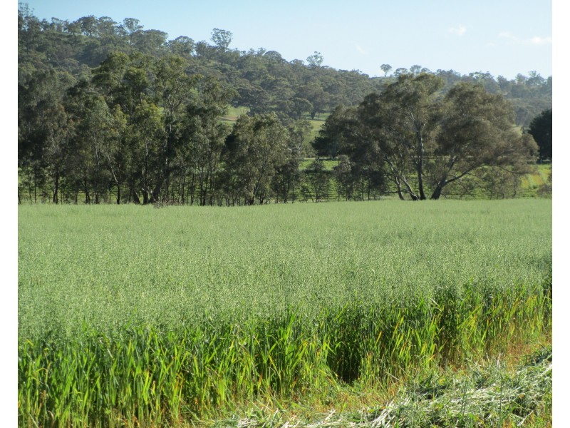 540 Calder Alternate Highway, Lockwood South VIC 3551