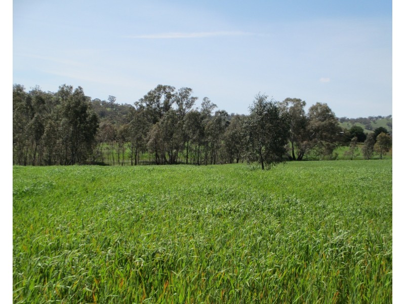 540 Calder Alternate Highway, Lockwood South VIC 3551