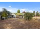 53 Condon Street, Kennington VIC 3550