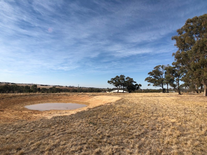 321 Mulberry Lane, Lockwood South VIC 3551