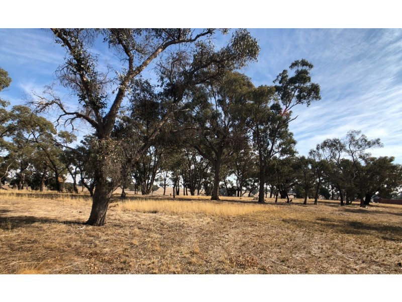 321 Mulberry Lane, Lockwood South VIC 3551