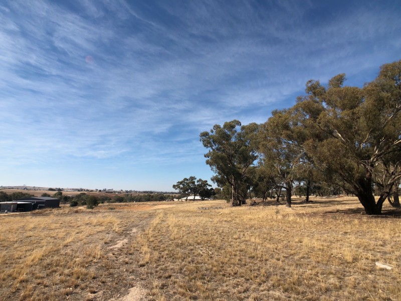 321 Mulberry Lane, Lockwood South VIC 3551