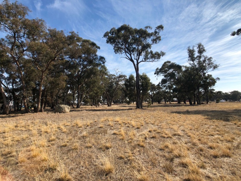 321 Mulberry Lane, Lockwood South VIC 3551