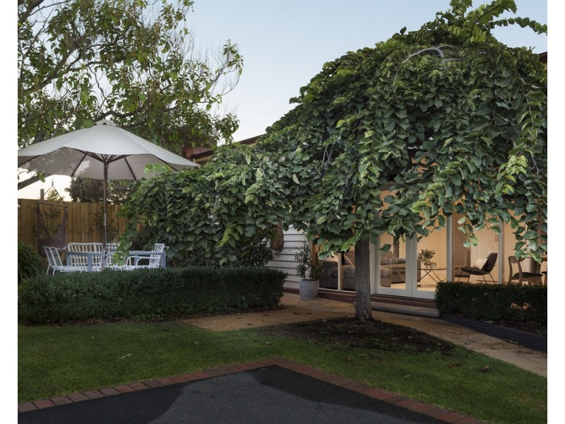 41 Condon Street, Bendigo VIC 3550