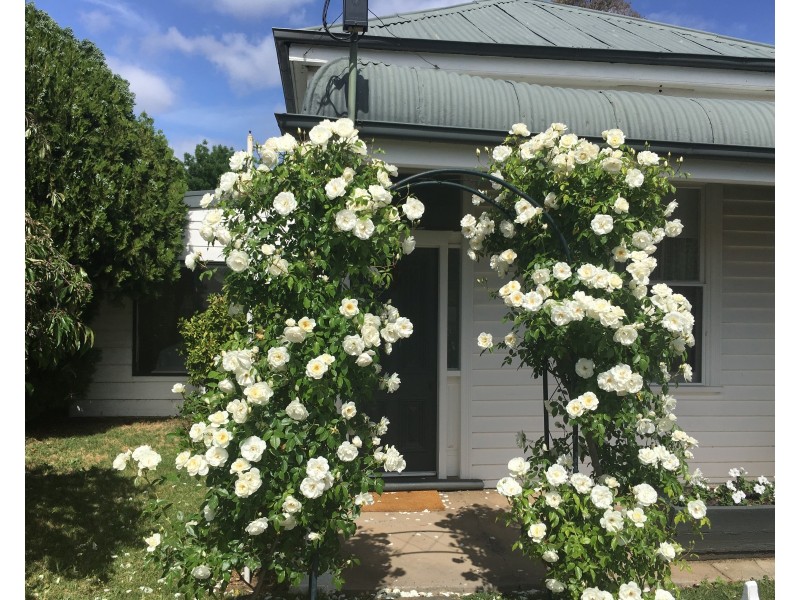 49 Honeysuckle Street, Bendigo VIC 3550