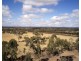 Lot 1, 1275 McIvor Highway, Longlea VIC 3551