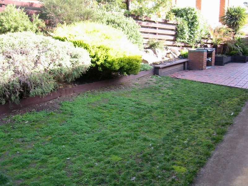 6 Benjamin Court, Flora Hill VIC 3550