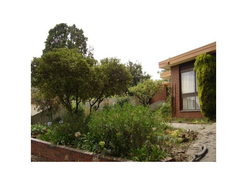 1 Graham Street, Quarry Hill VIC 3550