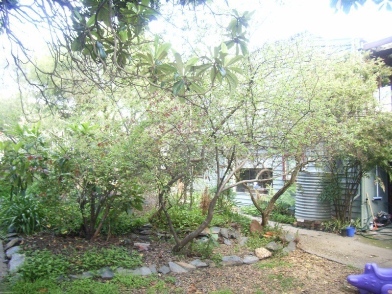 214 Don Street, Bendigo VIC 3550