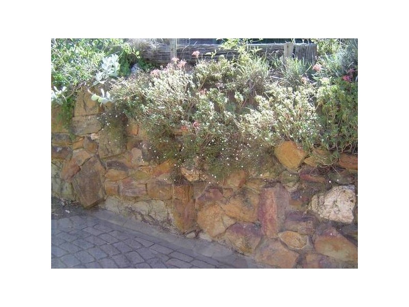 2/17 Wirth Street, Flora Hill VIC 3550