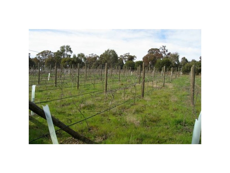 269 Canny Road, Strathfieldsaye VIC 3551