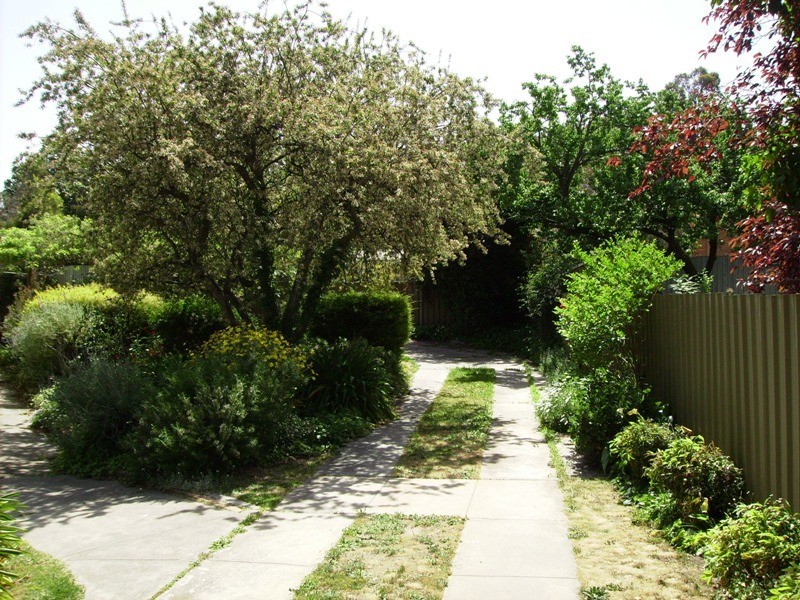 6 Collins Court, Kennington VIC 3550