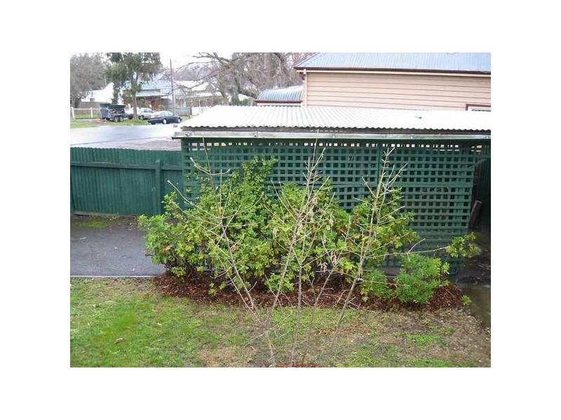 157 MacKenzie Street, Bendigo VIC 3550