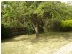 8 Marinna Court, Strathdale VIC 3550