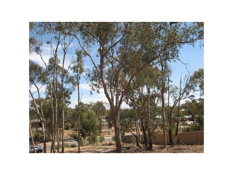 141 Osborne Street, Flora Hill VIC 3550