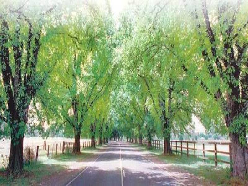 1 Possumtail Run, Bacchus Marsh VIC 3340