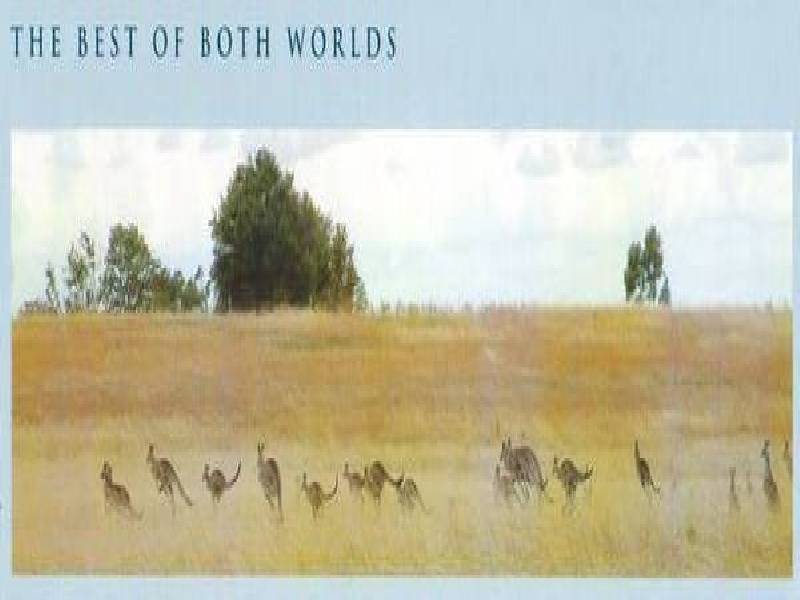 1 Possumtail Run, Bacchus Marsh VIC 3340