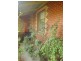 15 Broom Street, Bendigo VIC 3550