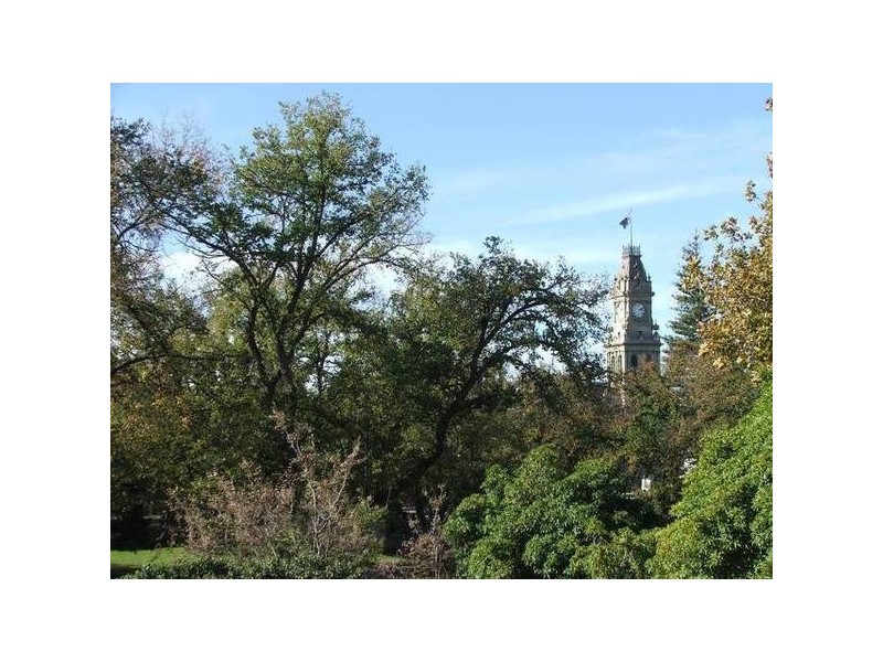 View Street, Bendigo VIC 3550