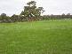Barnadown Road, Goornong VIC 3557