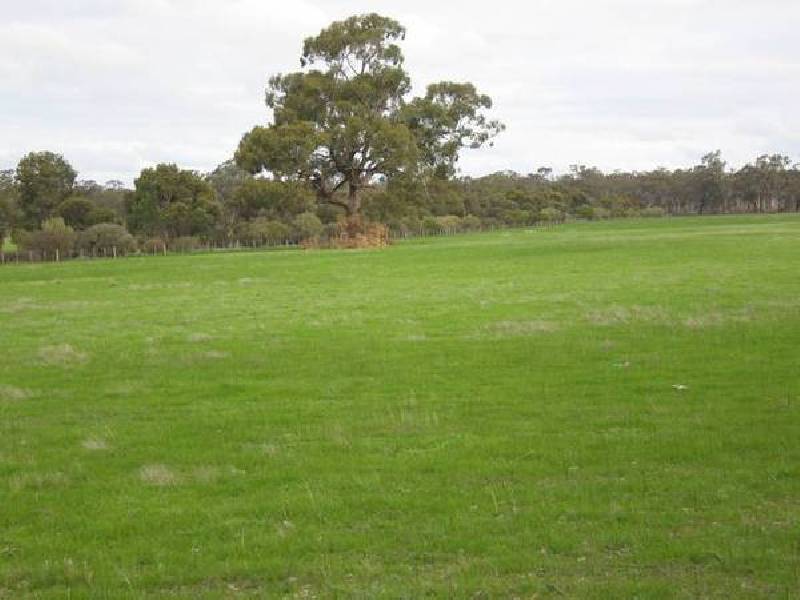 Barnadown Road, Goornong VIC 3557
