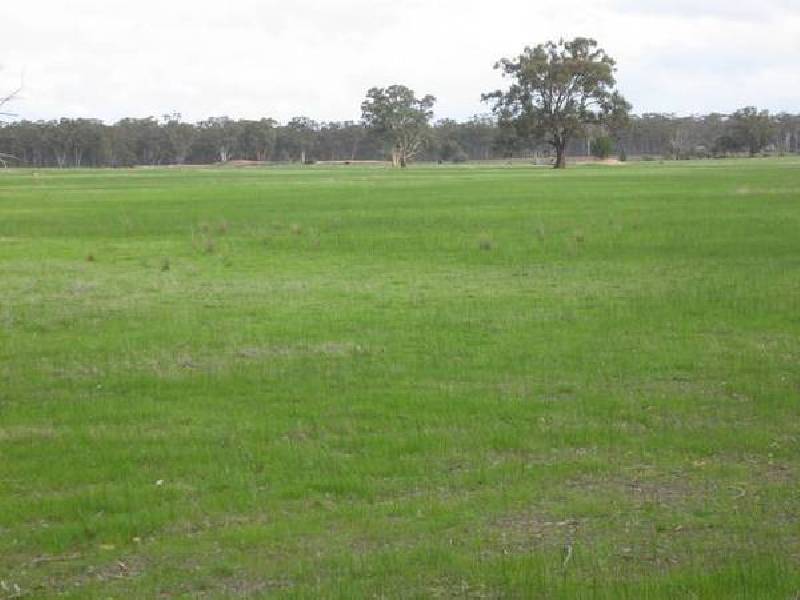 Barnadown Road, Goornong VIC 3557