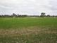 Barnadown Road, Goornong VIC 3557