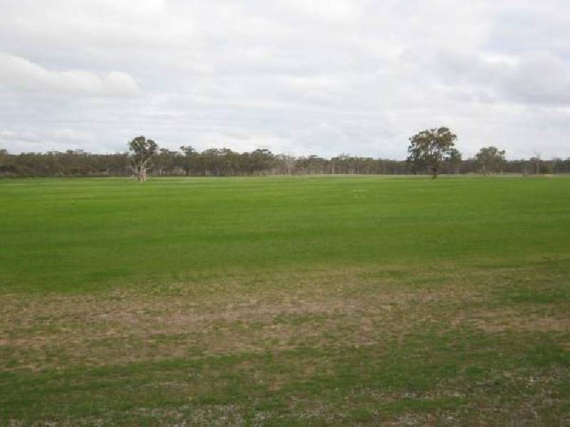 Barnadown Road, Goornong VIC 3557