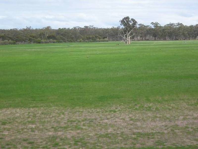 Barnadown Road, Goornong VIC 3557