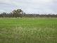 Barnadown Road, Goornong VIC 3557