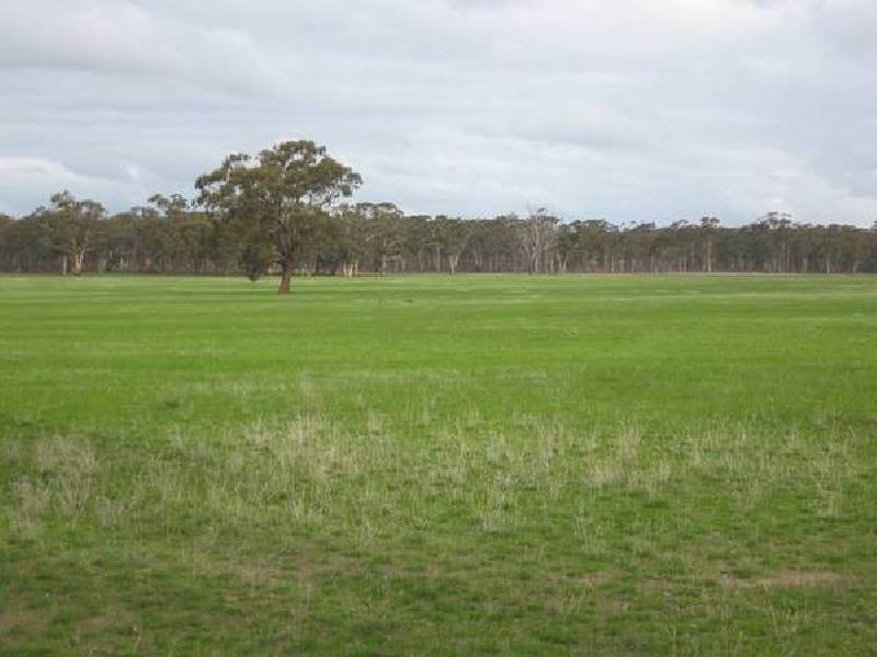 Barnadown Road, Goornong VIC 3557