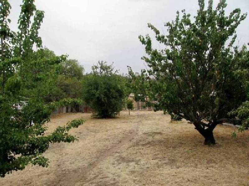 40 Curnow Street, Golden Square VIC 3555