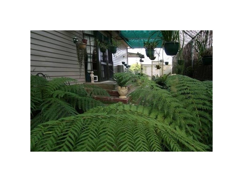 34 Hopetoun Street, Bendigo VIC 3550