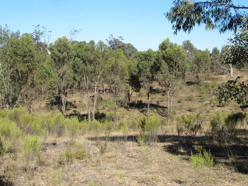 Lot 23,  Clancy Road, Axe Creek VIC 3551