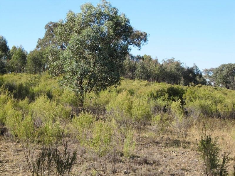 Lot 23,  Clancy Road, Axe Creek VIC 3551