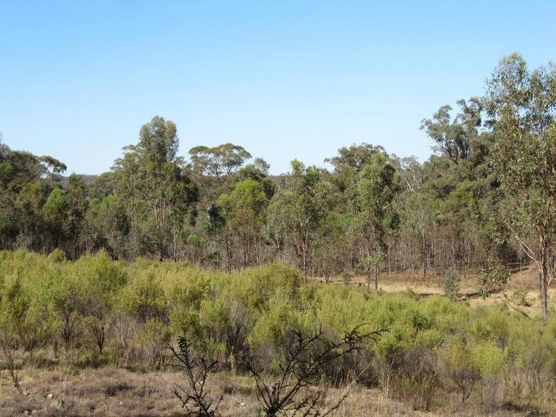 Lot 23,  Clancy Road, Axe Creek VIC 3551