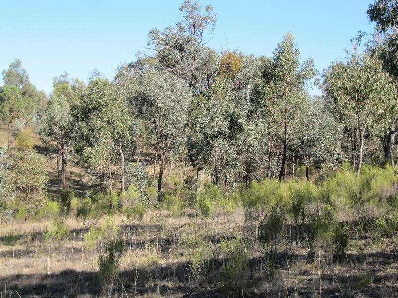 Lot 23,  Clancy Road, Axe Creek VIC 3551