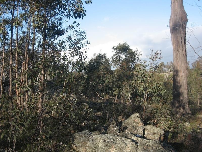 Lot 23,  Clancy Road, Axe Creek VIC 3551