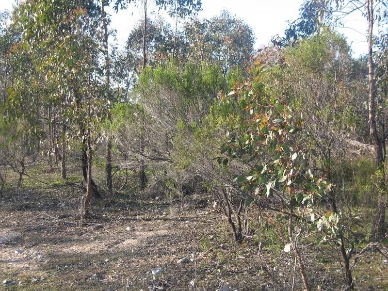 Lot 23,  Clancy Road, Axe Creek VIC 3551