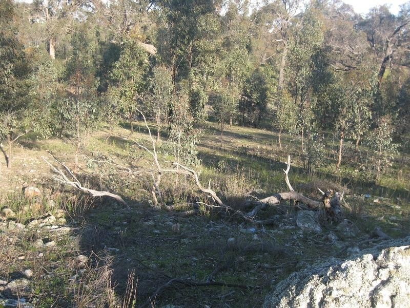 Lot 23,  Clancy Road, Axe Creek VIC 3551