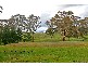 44 Belvoir Park Road, Big Hill VIC 3555