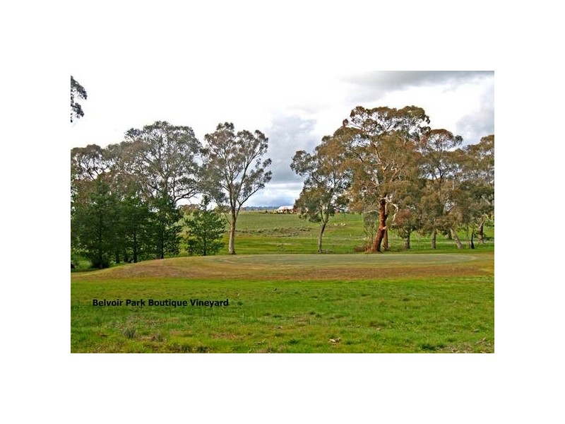 44 Belvoir Park Road, Big Hill VIC 3555