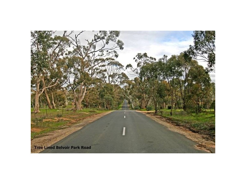 44 Belvoir Park Road, Big Hill VIC 3555