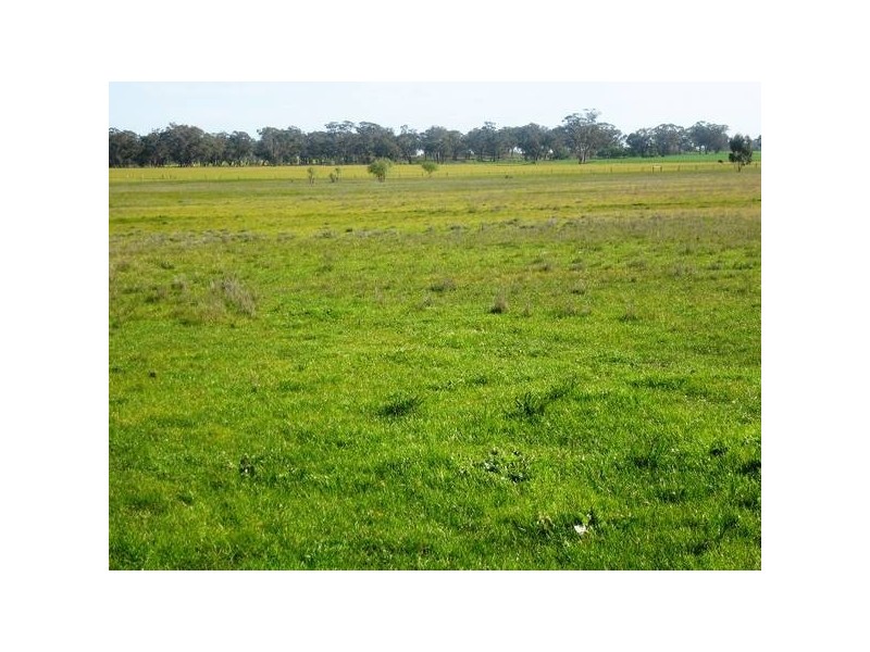 Raywood Elmore Road, Kamarooka VIC 3570