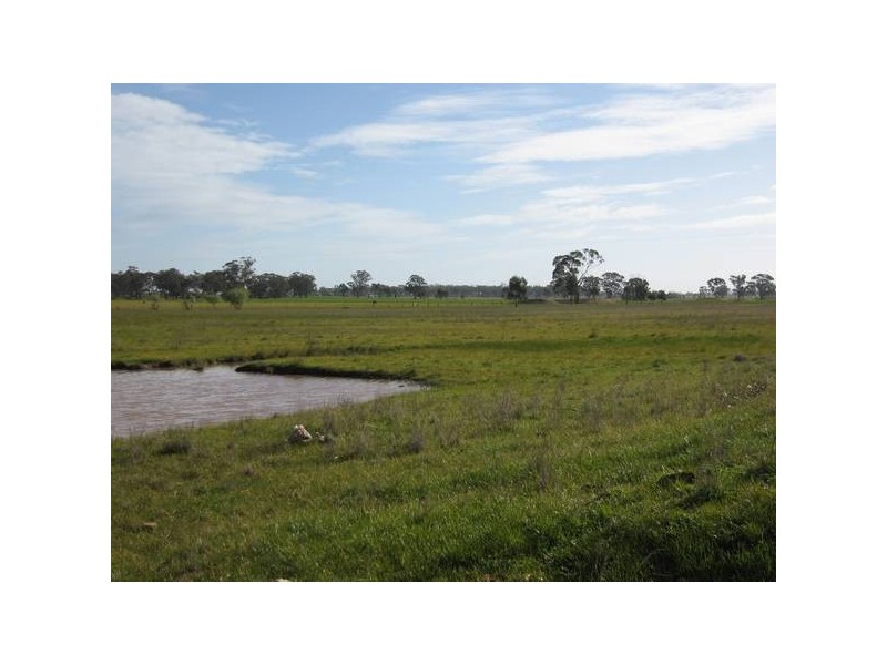 Raywood Elmore Road, Kamarooka VIC 3570