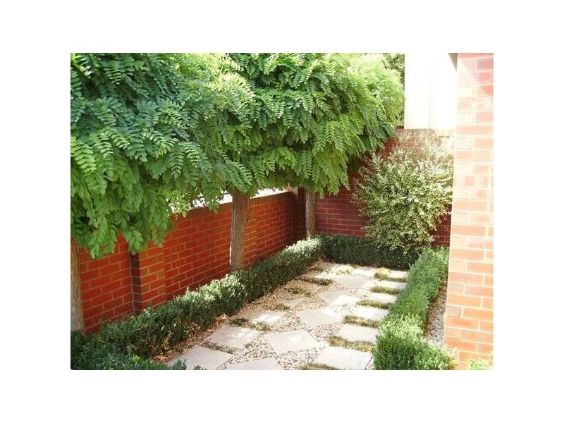 Broom Street, Bendigo VIC 3550