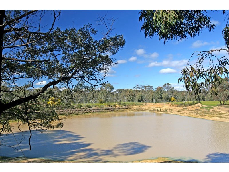 481 Native Gully Crescent, Strathfieldsaye VIC 3551